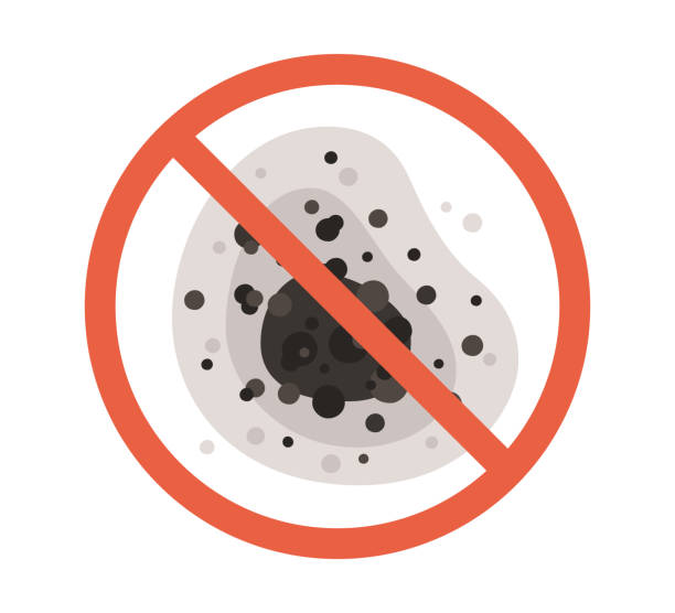Best Air Quality Testing for Mold Spores  in La Cienega, NM