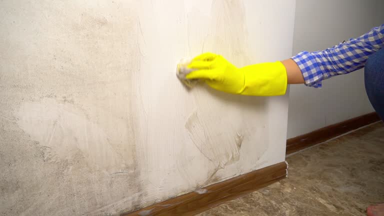 Best Mold Removal for HVAC Installations  in La Cienega, NM